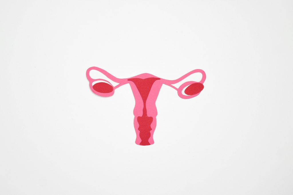 Uterus