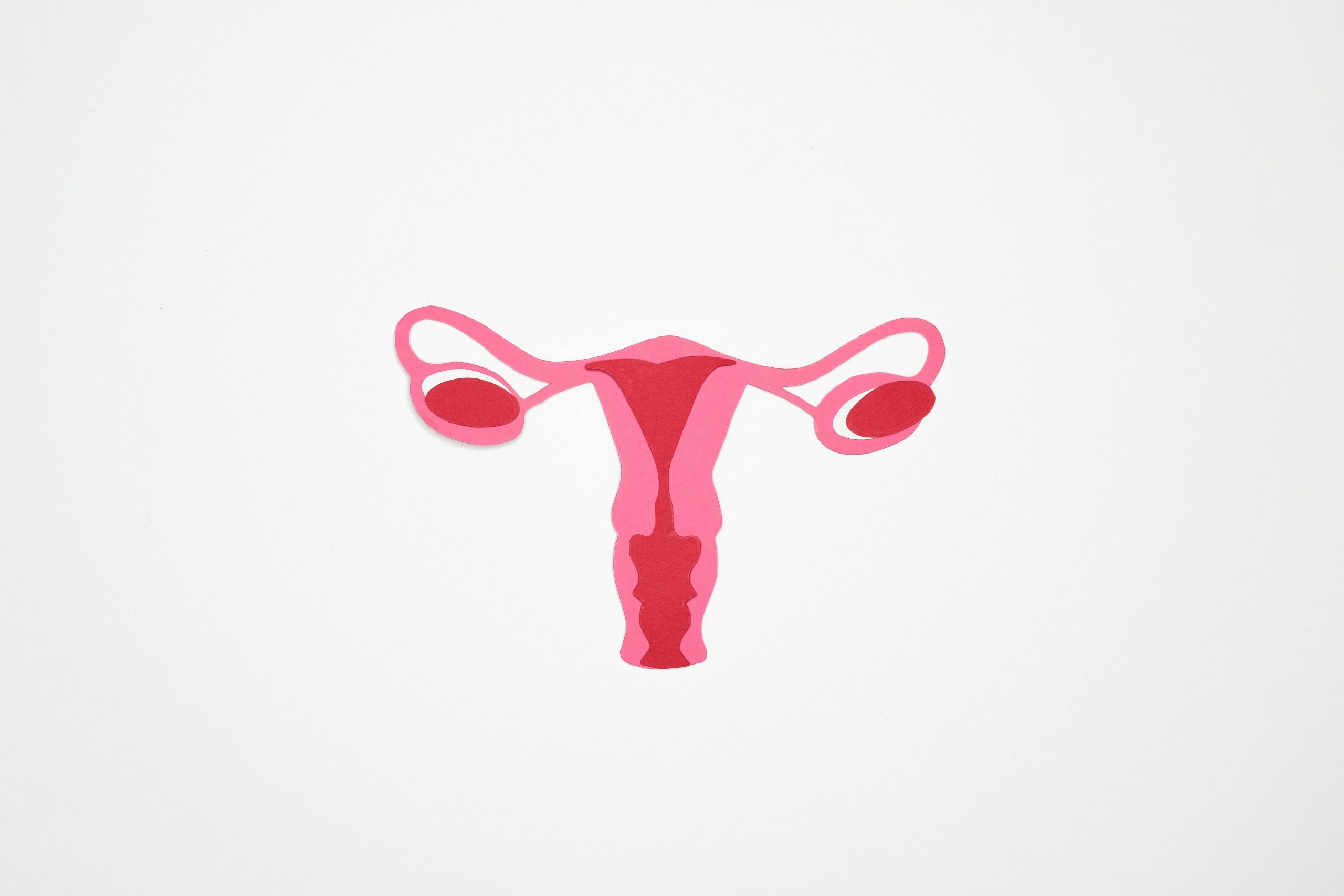 Uterus